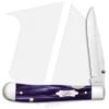 Case Kickstart TrapperLock Assisted Knife Wicked Purple Kirinite (10154AC SS)